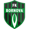 Viven Bornova FK